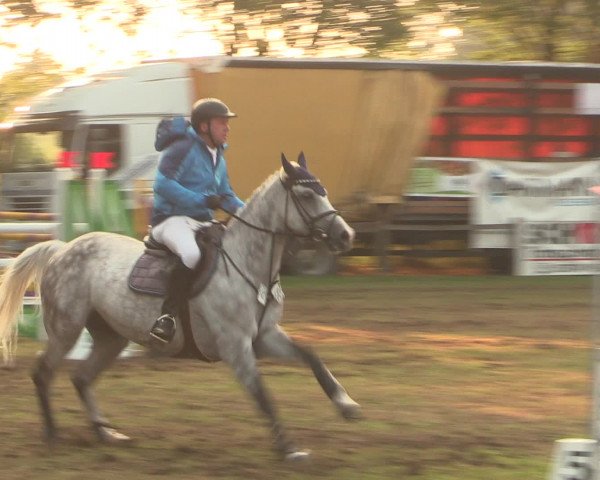 Reitturnier Petershagen-Eldagsen 2016