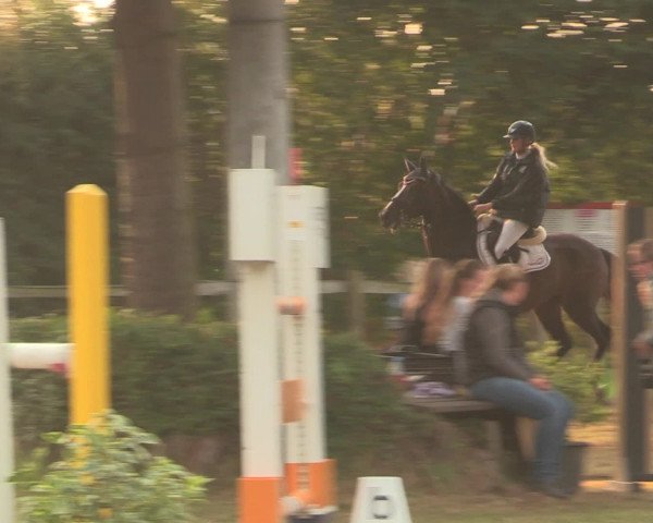Reitturnier Petershagen-Eldagsen 2016