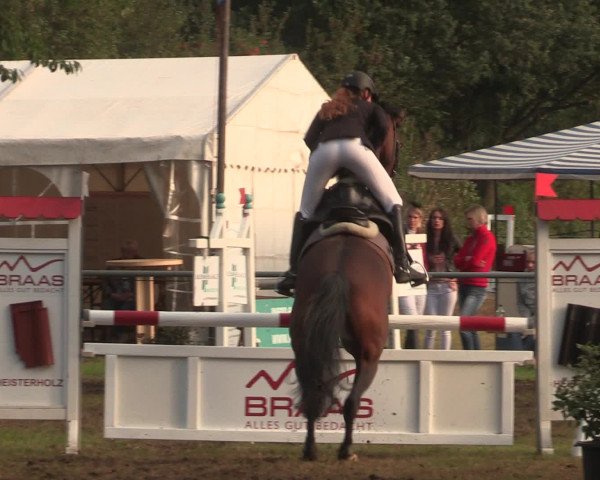 Reitturnier Petershagen-Eldagsen 2016