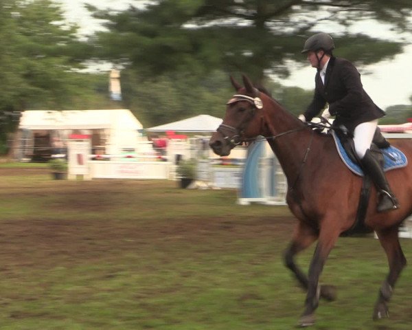 Reitturnier Petershagen-Eldagsen 2016