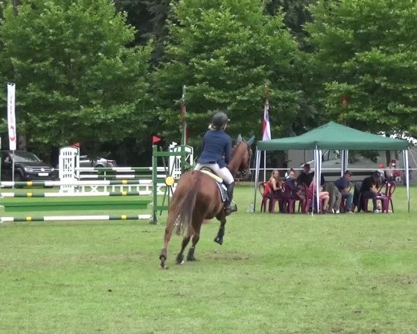 Reitturnier Zobbenitz 2016