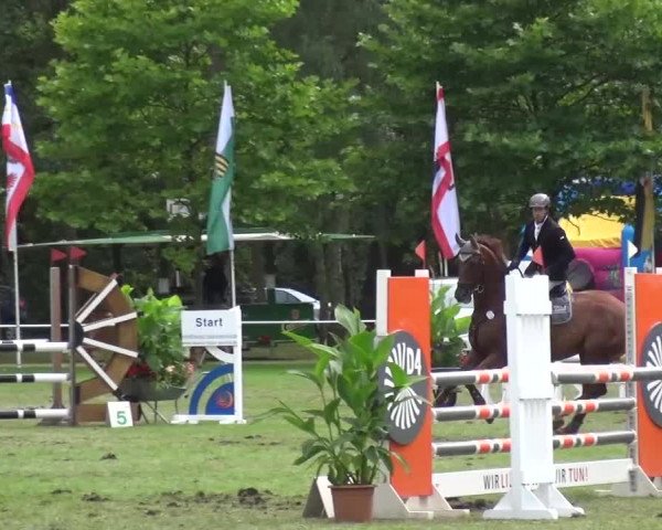 Reitturnier Zobbenitz 2016