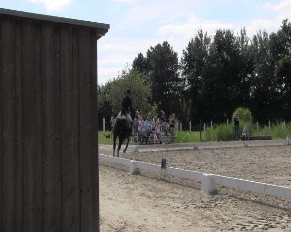 Reitturnier Olfen-Vinnum 2016