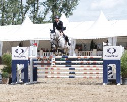 stallion Catch (Holsteiner, 2013, from Colman)