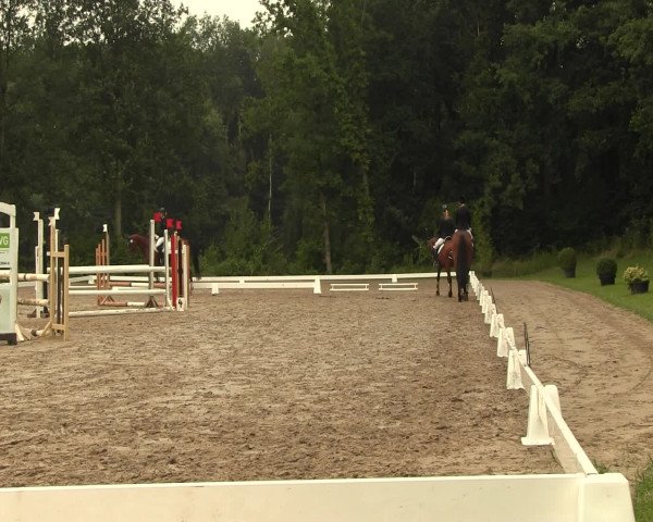 Reitturnier Olfen-Vinnum 2016