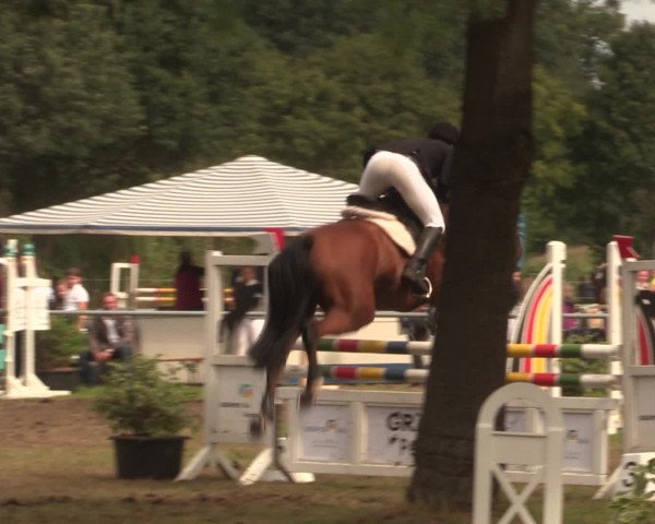 Reitturnier Petershagen-Eldagsen 2016