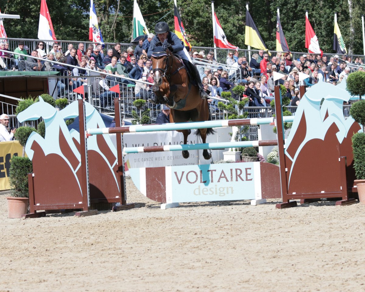Caballo de salto Fidelia R (Hannoveriano, 2013, de Firth of Lorne)