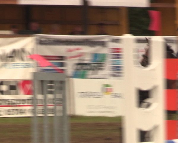 Reitturnier Petershagen-Eldagsen 2016