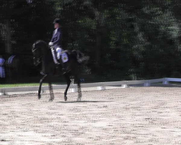 Reitturnier Olfen-Vinnum 2016