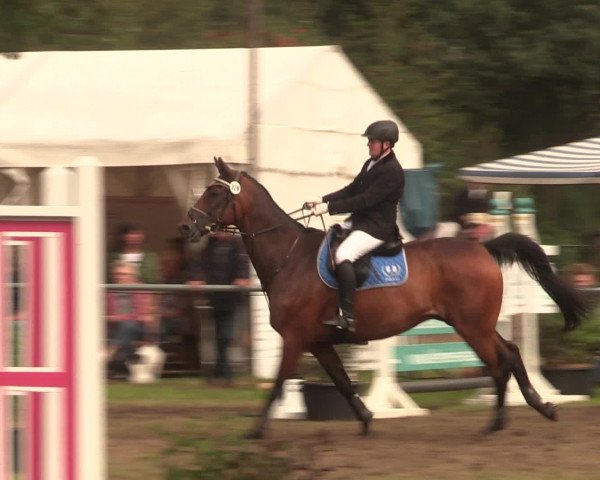 Reitturnier Petershagen-Eldagsen 2016