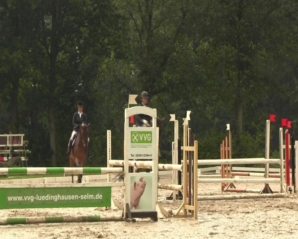 Reitturnier Olfen-Vinnum 2016