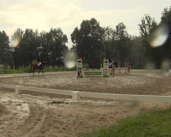 Reitturnier Olfen-Vinnum 2016
