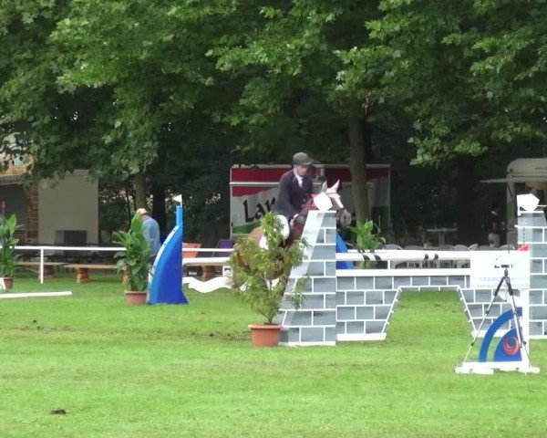 Reitturnier Zobbenitz 2016