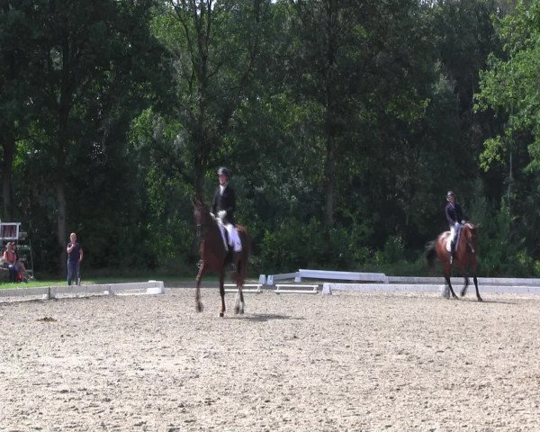 Reitturnier Olfen-Vinnum 2016