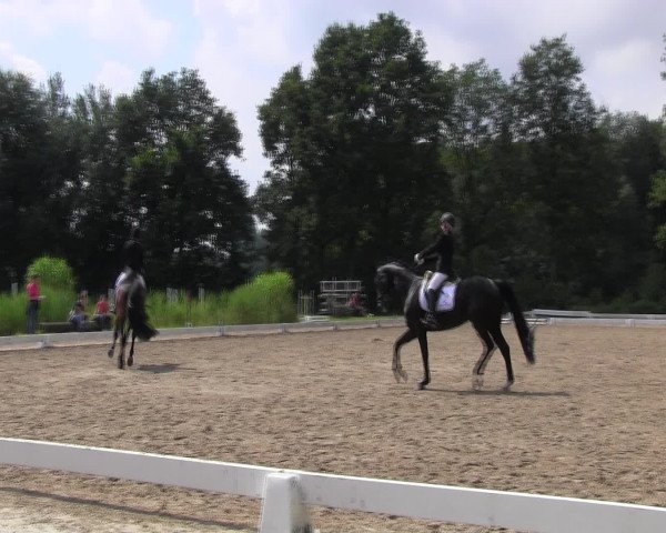Reitturnier Olfen-Vinnum 2016