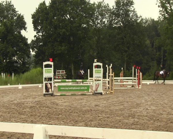 Reitturnier Olfen-Vinnum 2016