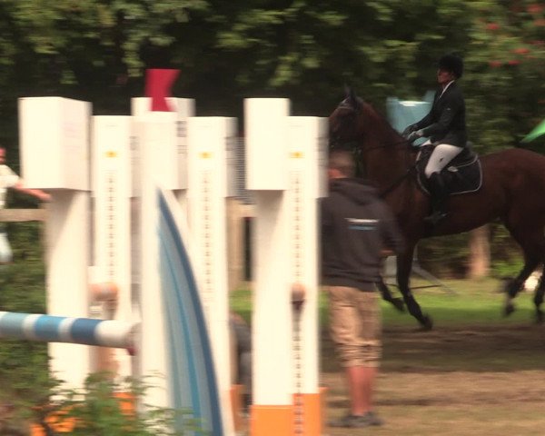 Reitturnier Petershagen-Eldagsen 2016