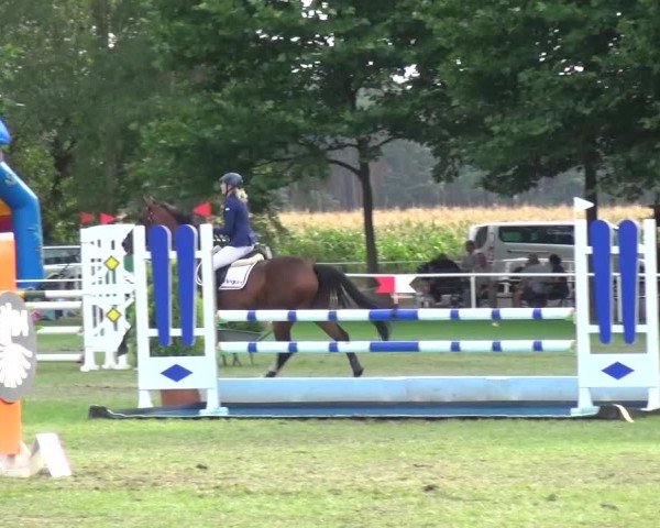 Reitturnier Zobbenitz 2016