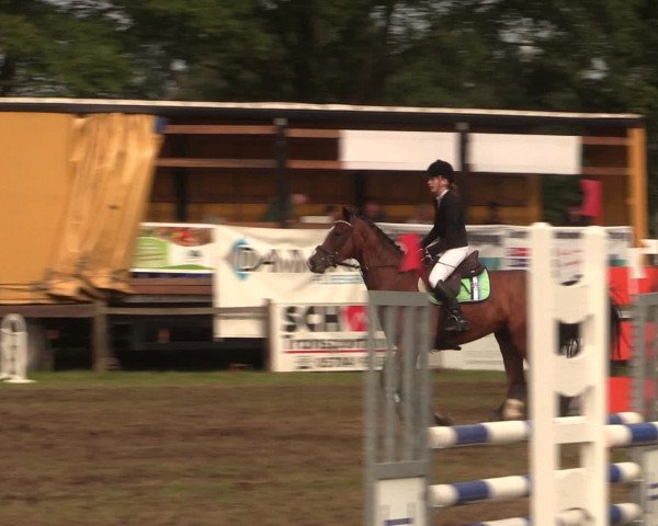 Reitturnier Petershagen-Eldagsen 2016