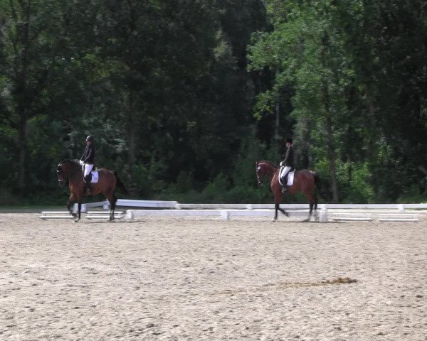 Reitturnier Olfen-Vinnum 2016