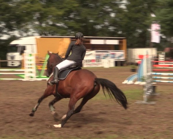Reitturnier Petershagen-Eldagsen 2016