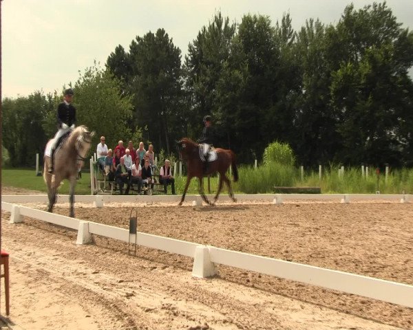 Reitturnier Olfen-Vinnum 2016