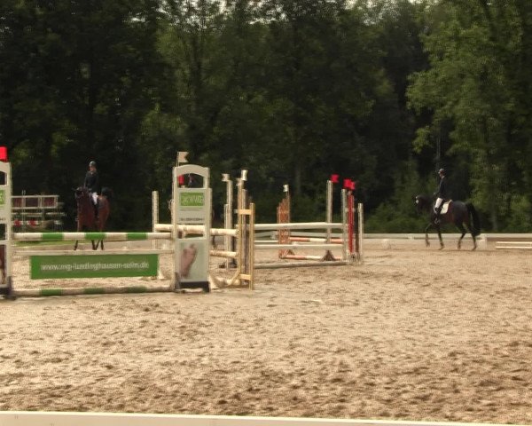 Reitturnier Olfen-Vinnum 2016
