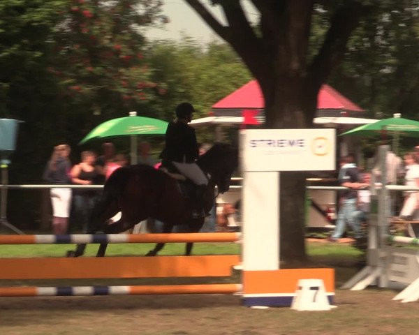 Reitturnier Petershagen-Eldagsen 2016
