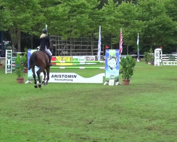 Reitturnier Zobbenitz 2016