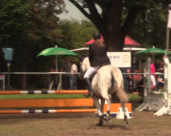 Reitturnier Petershagen-Eldagsen 2016