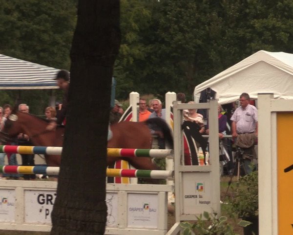 Reitturnier Petershagen-Eldagsen 2016