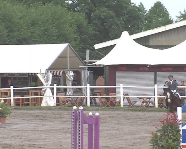 Reitturnier Tangstedt/Pinneberg 2016
