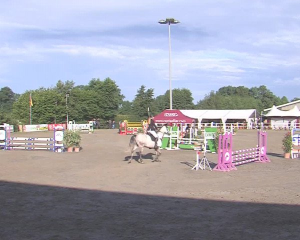 Reitturnier Tangstedt/Pinneberg 2016