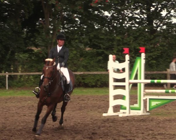 Reitturnier Petershagen-Eldagsen 2016