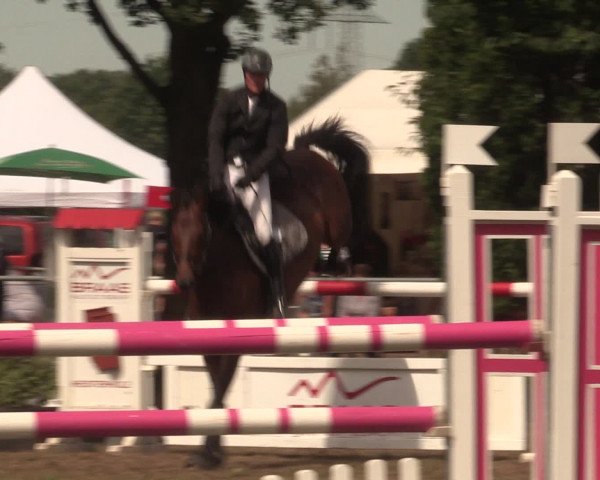Reitturnier Petershagen-Eldagsen 2016