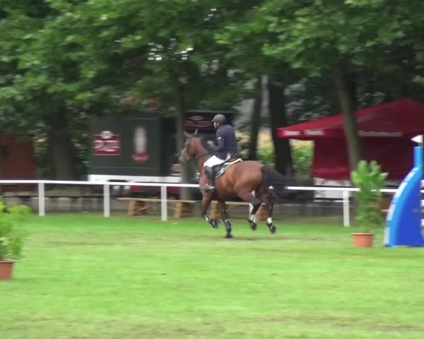 Reitturnier Zobbenitz 2016