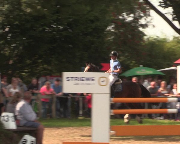 Reitturnier Petershagen-Eldagsen 2016