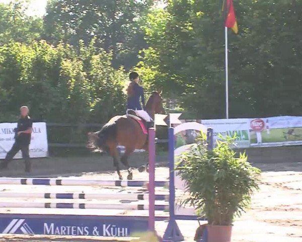 Reitturnier Tangstedt/Pinneberg 2016