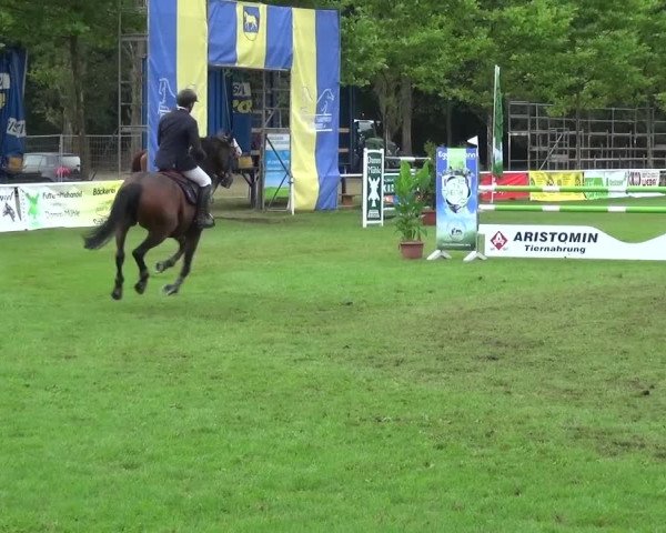 Reitturnier Zobbenitz 2016