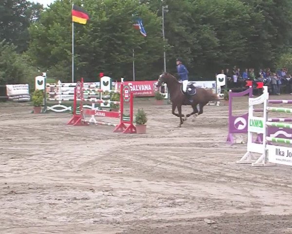 Reitturnier Tangstedt/Pinneberg 2016