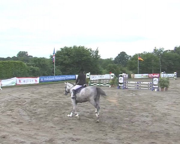 Reitturnier Tangstedt/Pinneberg 2016