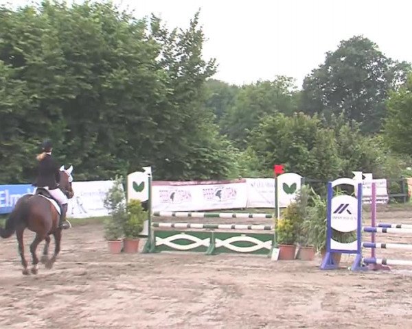 Reitturnier Tangstedt/Pinneberg 2016