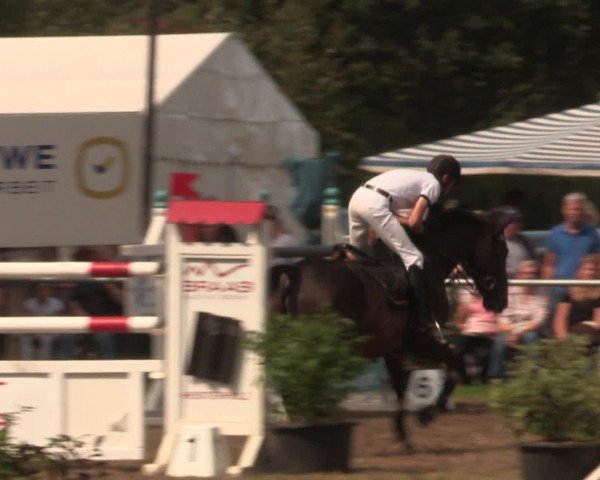 Reitturnier Petershagen-Eldagsen 2016