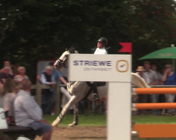 Reitturnier Petershagen-Eldagsen 2016