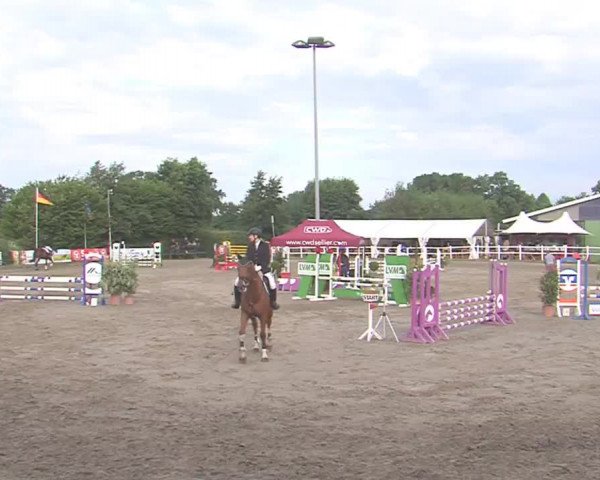 Reitturnier Tangstedt/Pinneberg 2016
