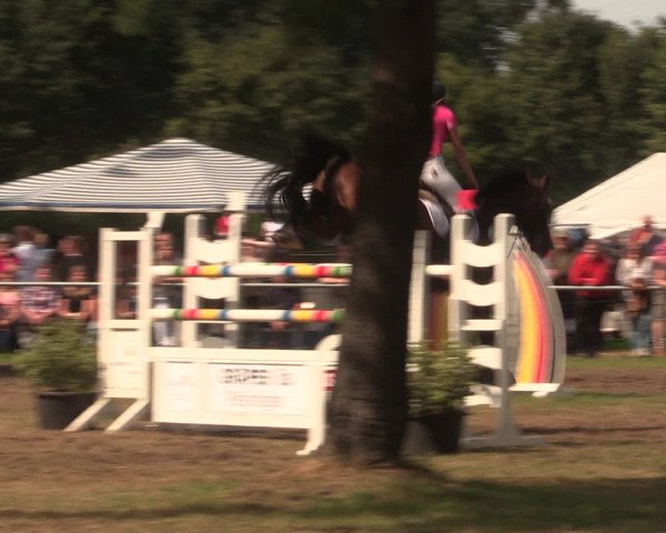 Reitturnier Petershagen-Eldagsen 2016