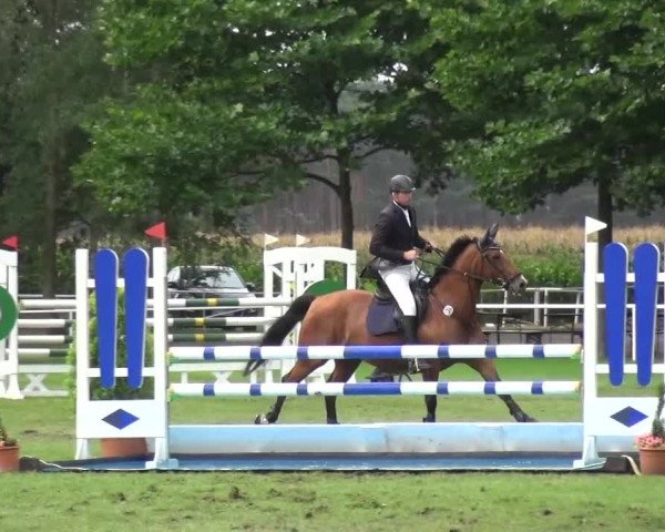 Reitturnier Zobbenitz 2016