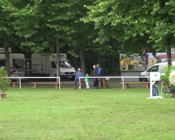 Reitturnier Zobbenitz 2016