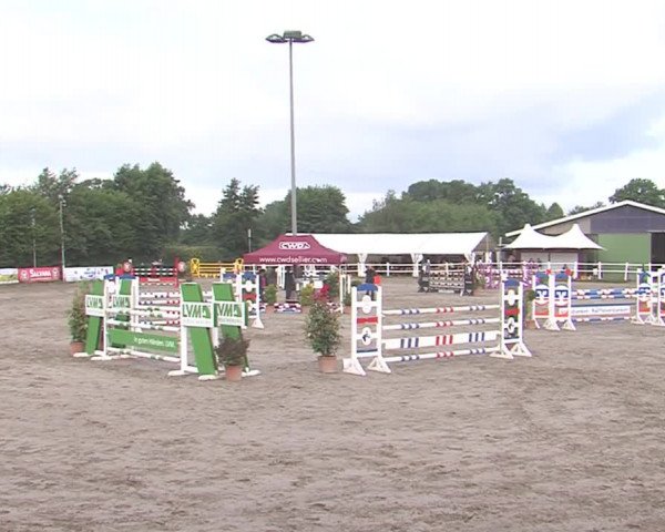 Reitturnier Tangstedt/Pinneberg 2016