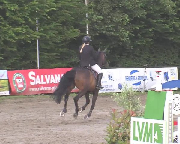 Reitturnier Tangstedt/Pinneberg 2016